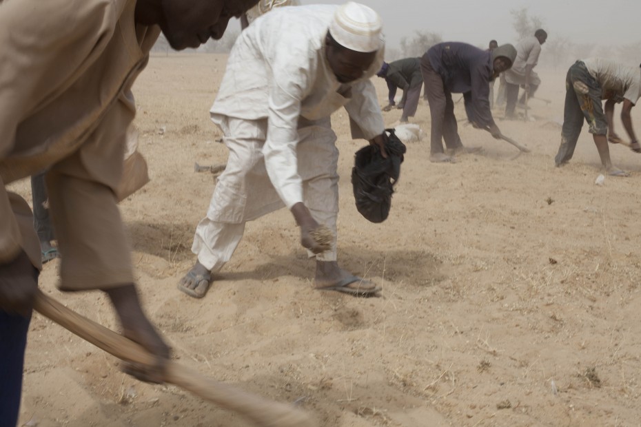 People remove weeds and plant pasture in Sarken Yamma (Tahoua region, Niger). This activity regenerates the land so the community can use it for grazing. With funding from ECHO/WFP, CARE is providing income to vulnerable families so they can buy food and repay their debts ahead of the lean season. People receive cash in exchange for part-time work in projects identified by their communities, or as a handout in the cases where nobody in the family is able to perform manual labour. Photo: CARE