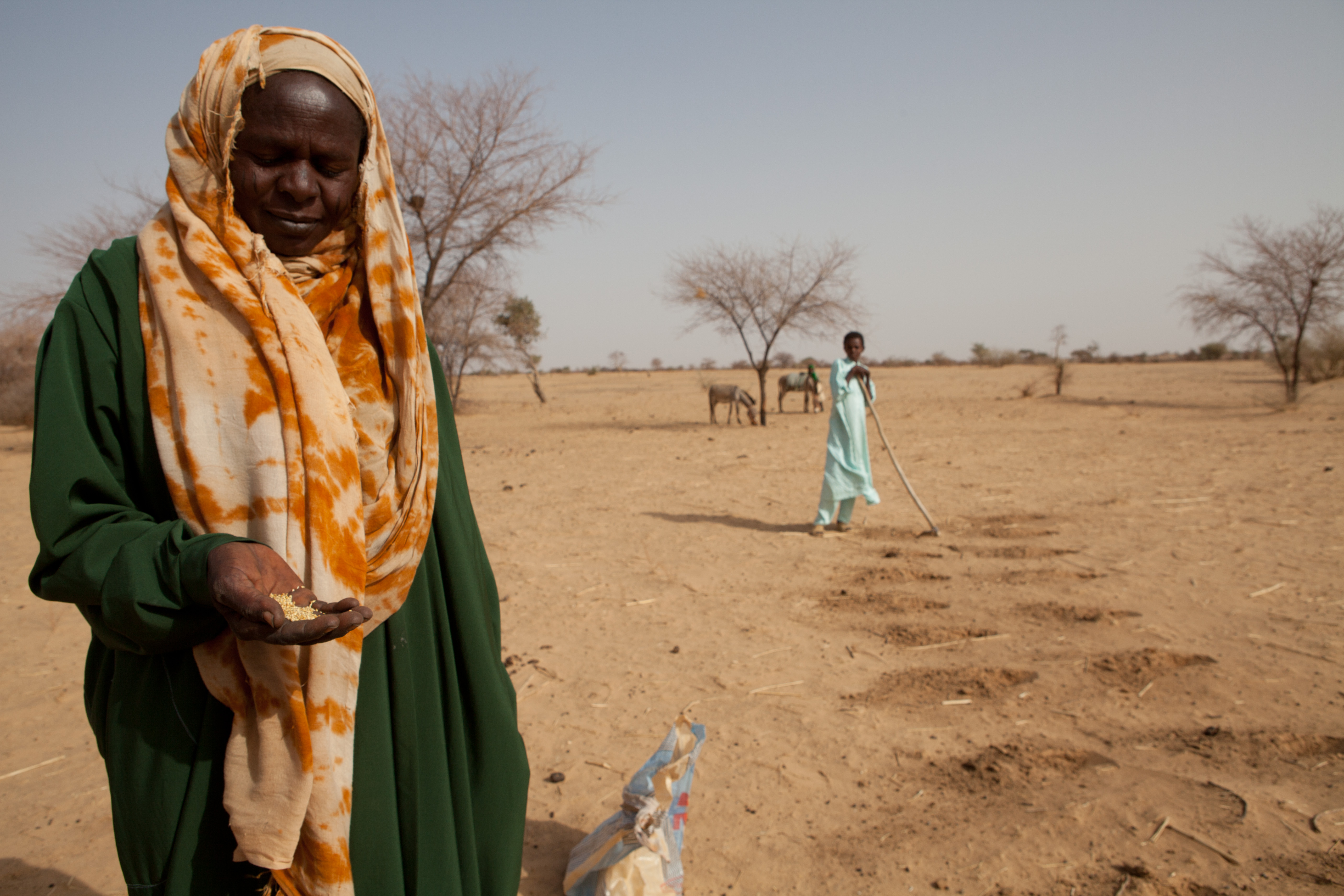 Food crisis in Sahel region of Chad