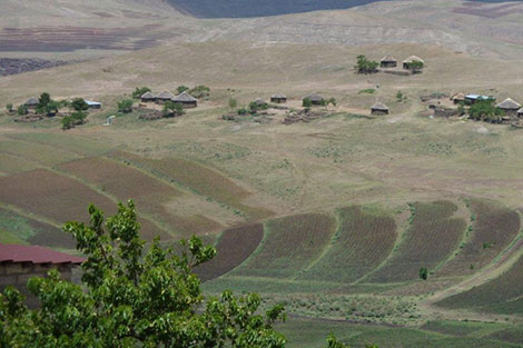 Agricultural production dropped 70 per cent in the 2011/12 cropping season, Lesotho’s worst harvest in ten years.