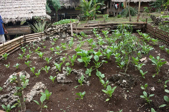 Raised Garden Bed