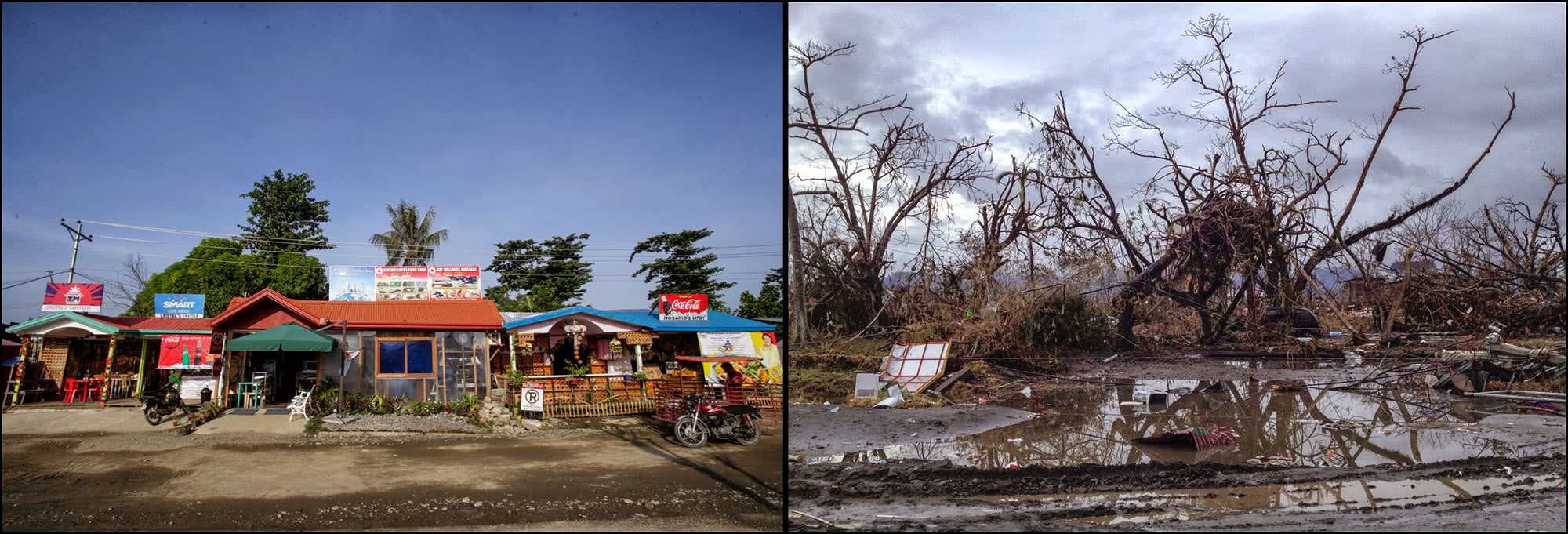 Typhoon Haiyan: before and after