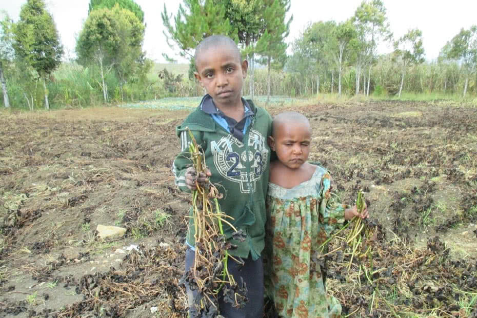 Children near frost-affected areas in Papua New Guinea.