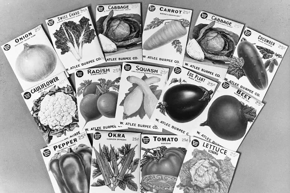 Historical photo of a seed kit CARE package.