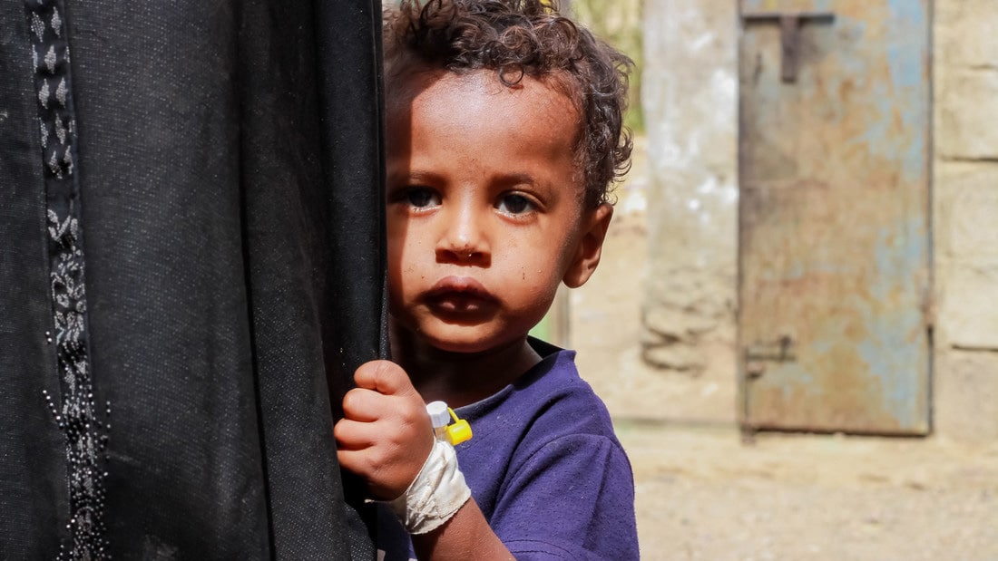 COVID-19: deadly new threat to the global hunger crisis